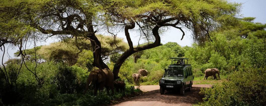 Open safari game-viewing vehicle